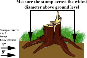 how-to-measure-stump